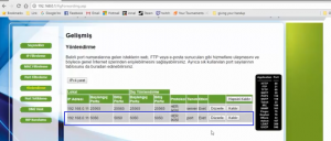 NetMaster İnfinity 401 Modeminde Port Açma_resim_8